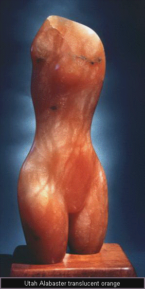 orange torso by Robert Black